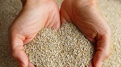 SuperAlimentos de nuestro Perú